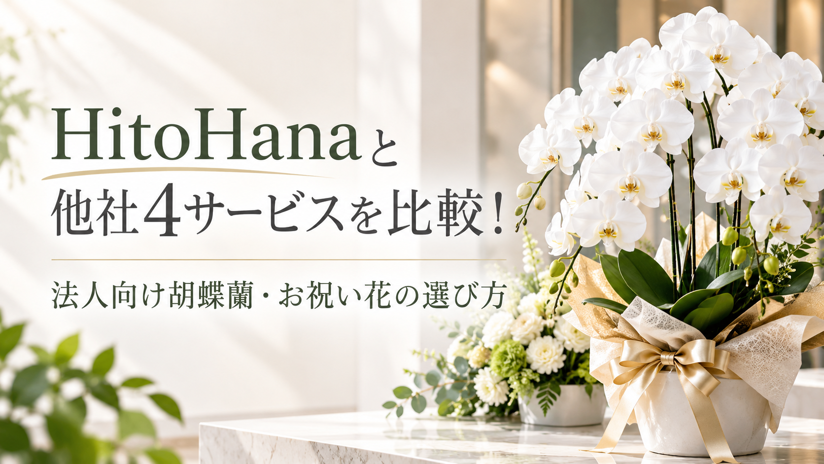 HitoHanaと他社4サービスを比較！法人向け胡蝶蘭・お祝い花の選び方